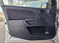 Ford Fiesta 1.4 TDCI / V. SERVIS