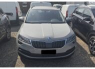 Škoda Karoq TDI Narodo Gry 117 h