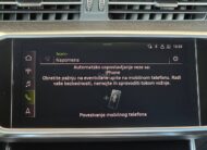 Audi RS6 4.0TFSI/CARBON/PANO