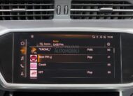 Audi A6 2.0 TDI QUATTRO koza